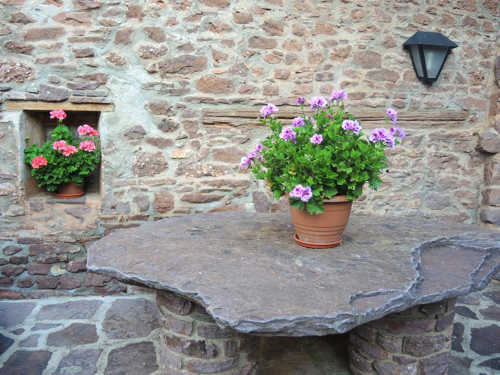 Turisme Rural Lo Palle De Cal Bosch Llagunes Exterior foto