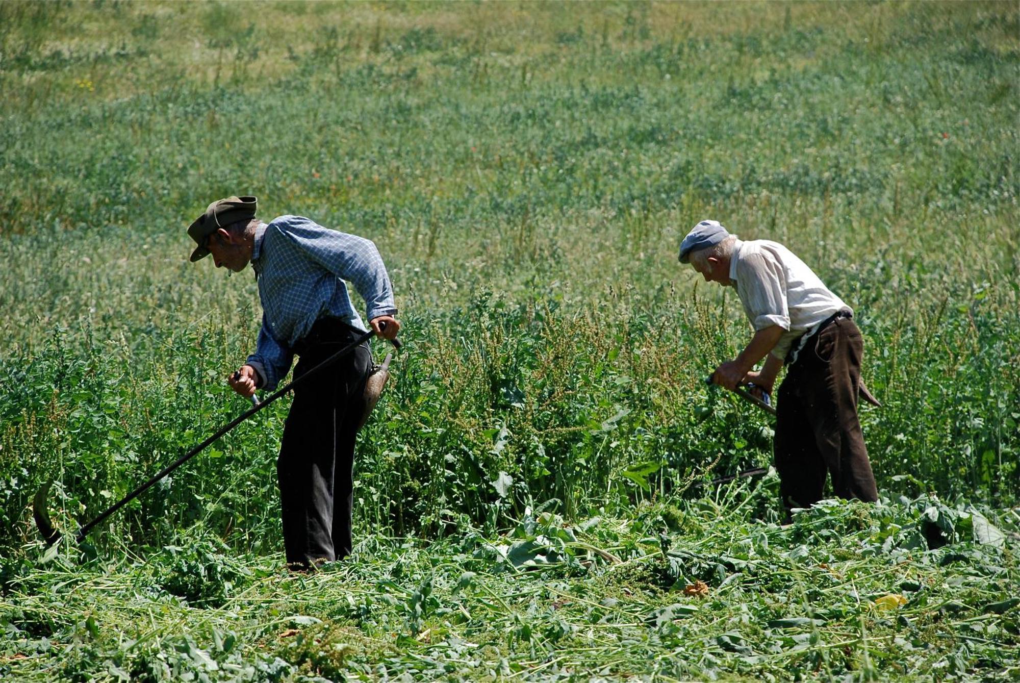 Turisme Rural Lo Palle De Cal Bosch Llagunes Exterior foto