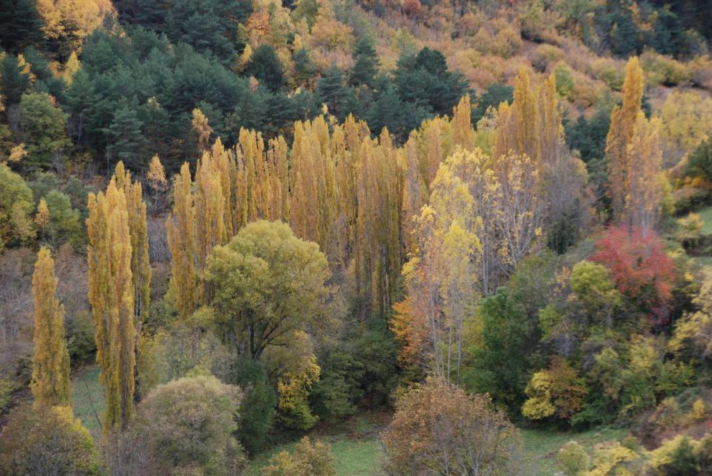 Turisme Rural Lo Palle De Cal Bosch Llagunes Exterior foto