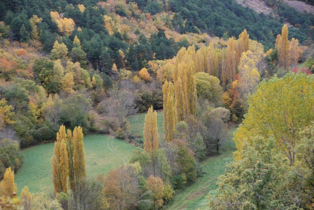 Turisme Rural Lo Palle De Cal Bosch Llagunes Exterior foto