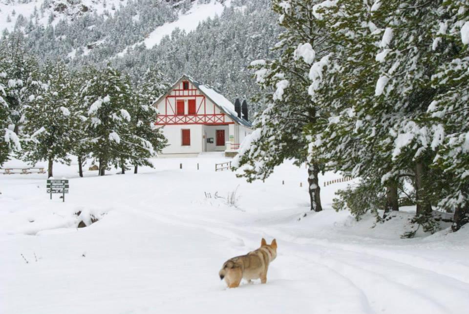 Turisme Rural Lo Palle De Cal Bosch Llagunes Exterior foto