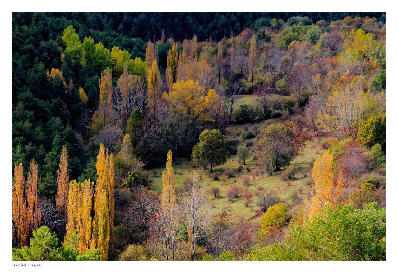 Turisme Rural Lo Palle De Cal Bosch Llagunes Exterior foto